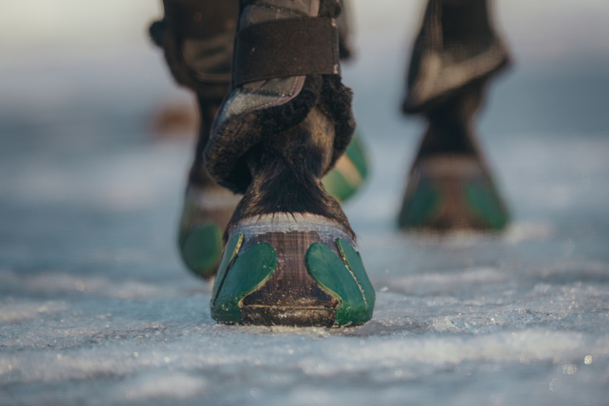 Performer V3 - Size 3 (Winter)