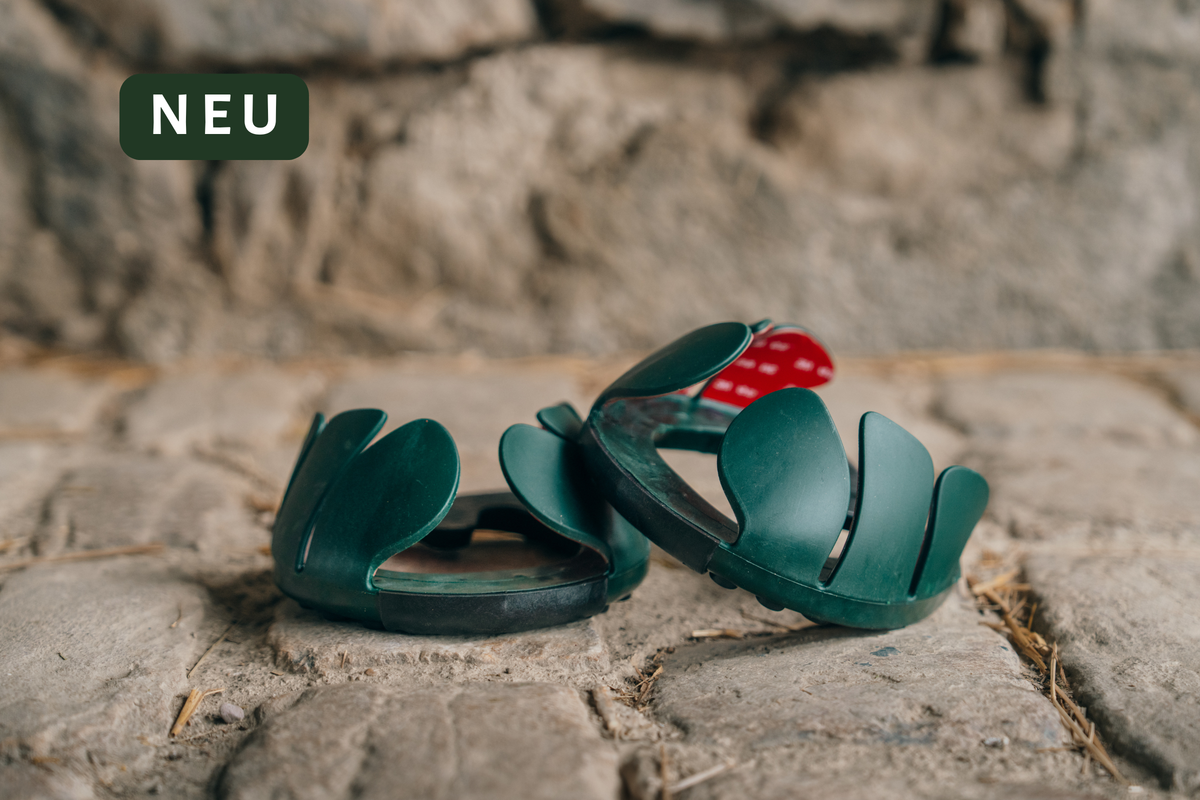 Neu - Performer V4 (Sommer)