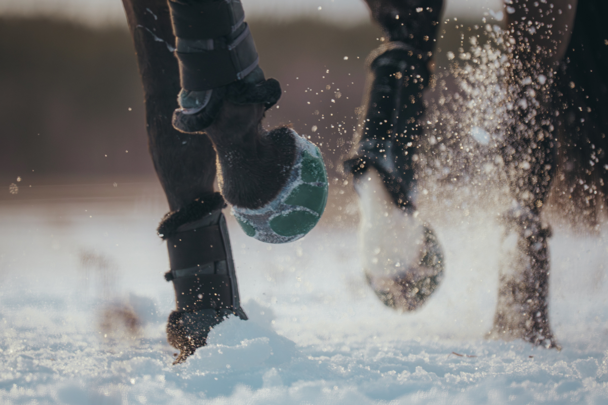 Performer V3 - Size 3 (Winter)