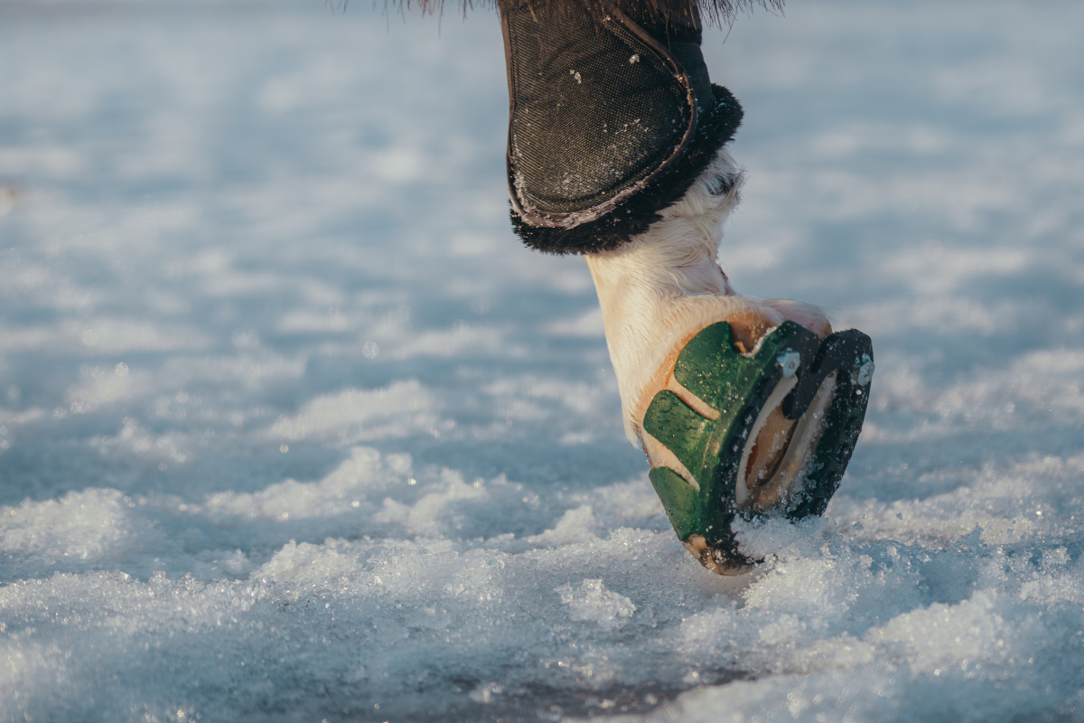 Performer V3 - Size 3 (Winter)